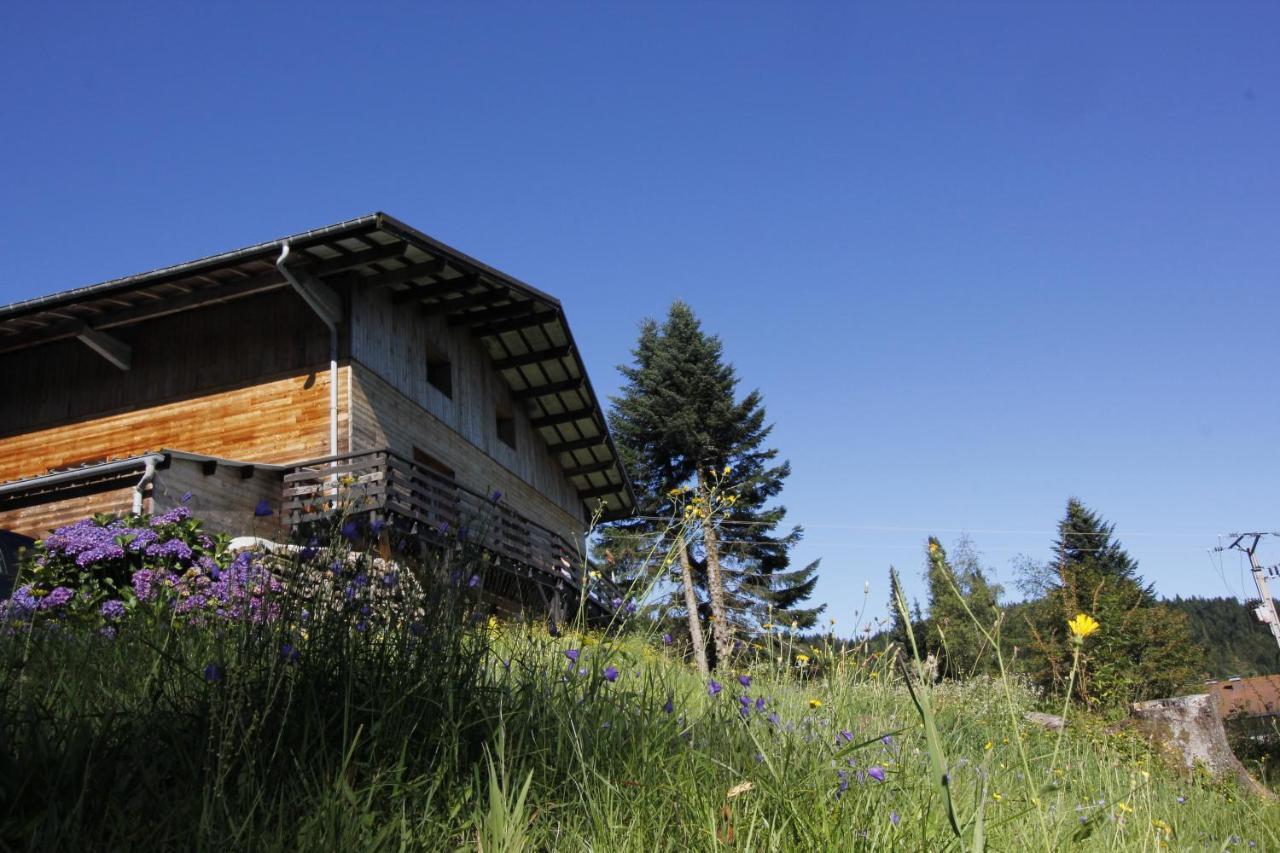 Le Chalet De Valentine Bed & Breakfast Ventron Eksteriør bilde